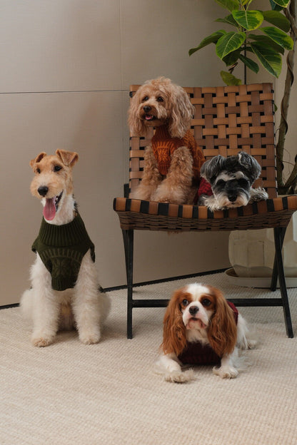 Pretzel Pet Sweater - Olive Green