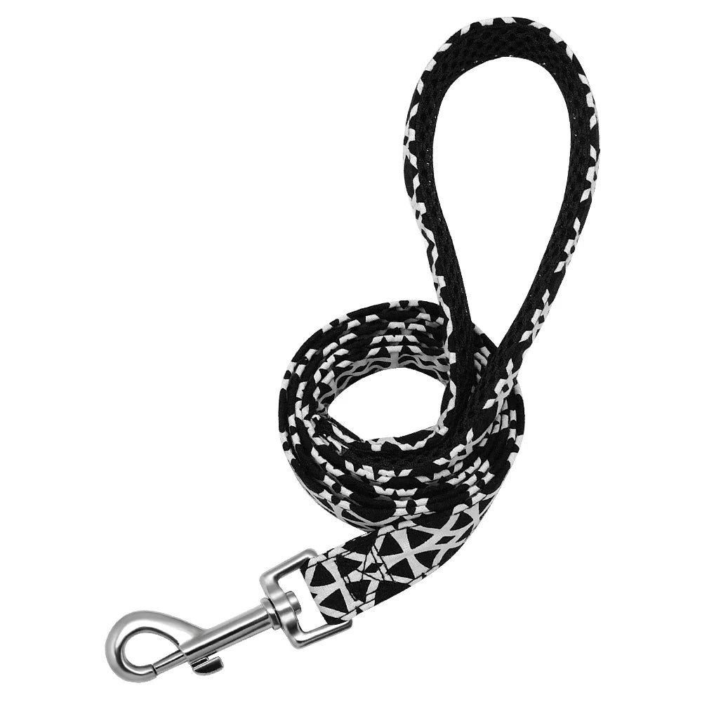 Tail Chasers durable dog leash for large dogs, featuring strong nylon with a sturdy clip for safety
