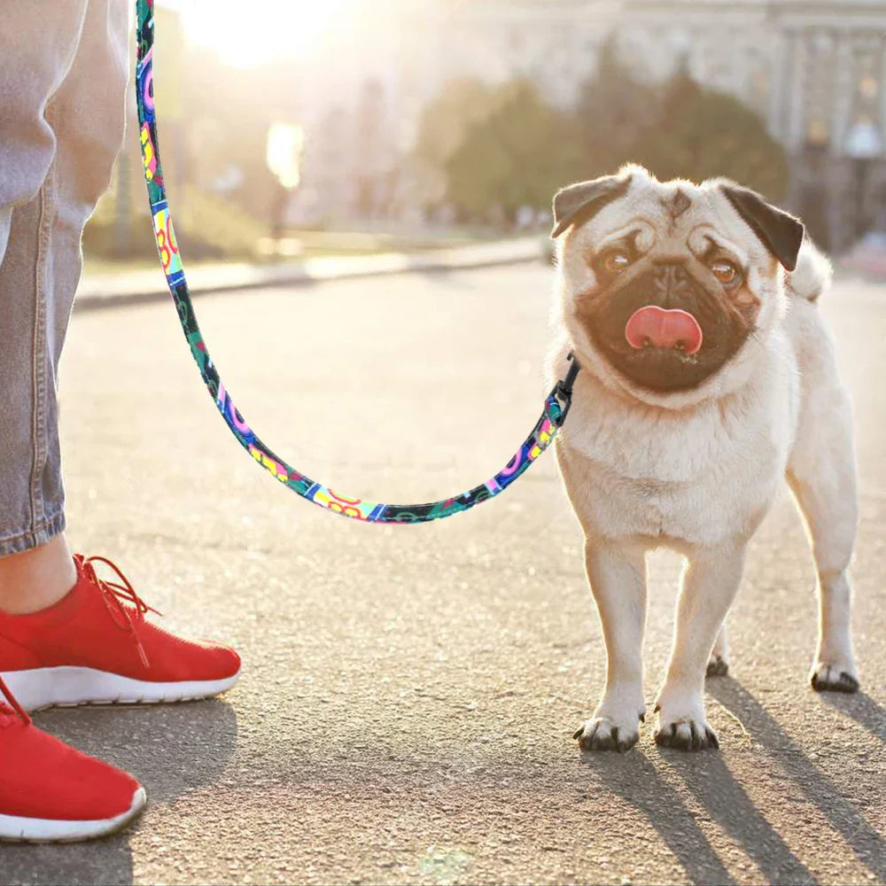 Colorful Tail Chasers durable dog leash for large dogs attached to a cute pug during a walk