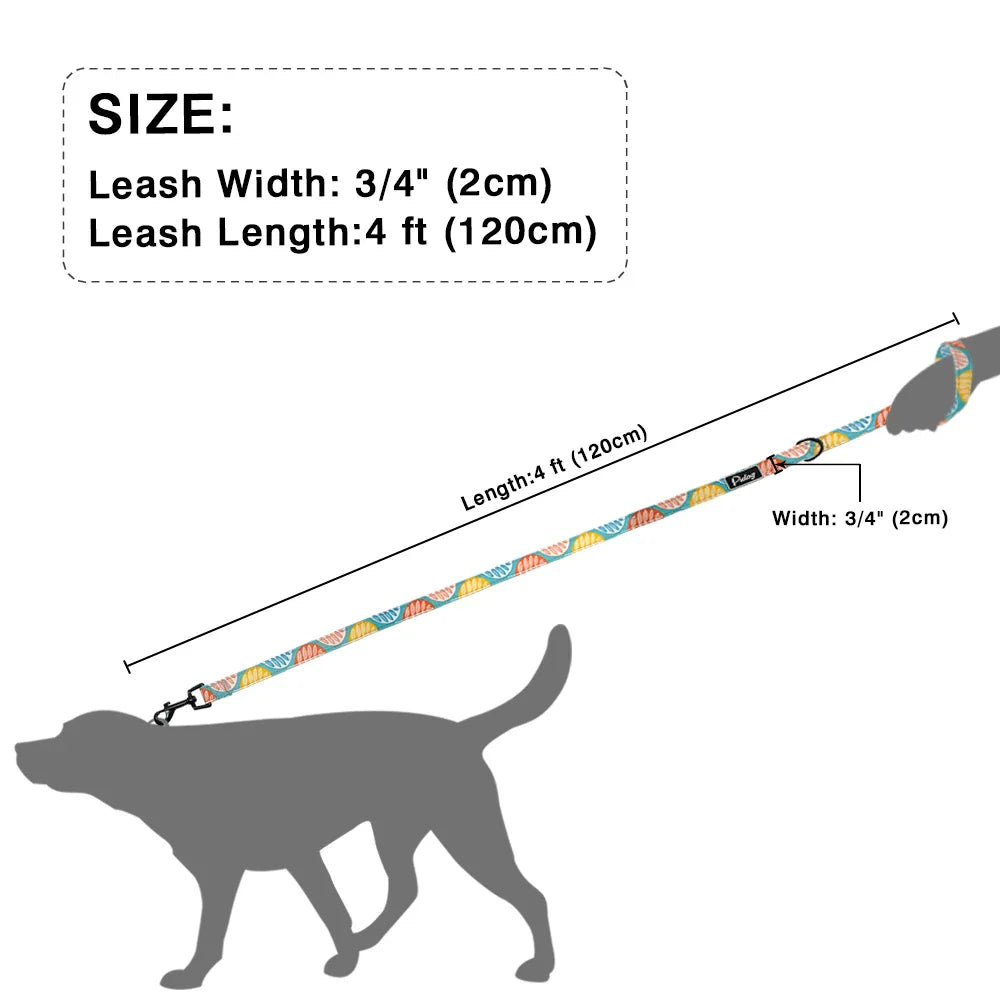 Durable dog leash for large dogs made of nylon with a colorful pattern and sturdy clip