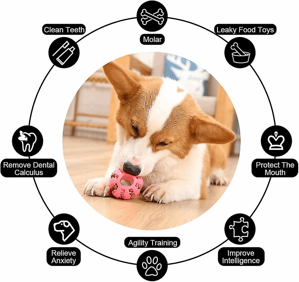 Dog Treat Toy Ball, Dog Tooth Cleaning Toy, Interactive toys