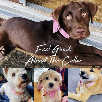 Luxurious Pink Velvet Dog Harness Leash and Collar Set Small