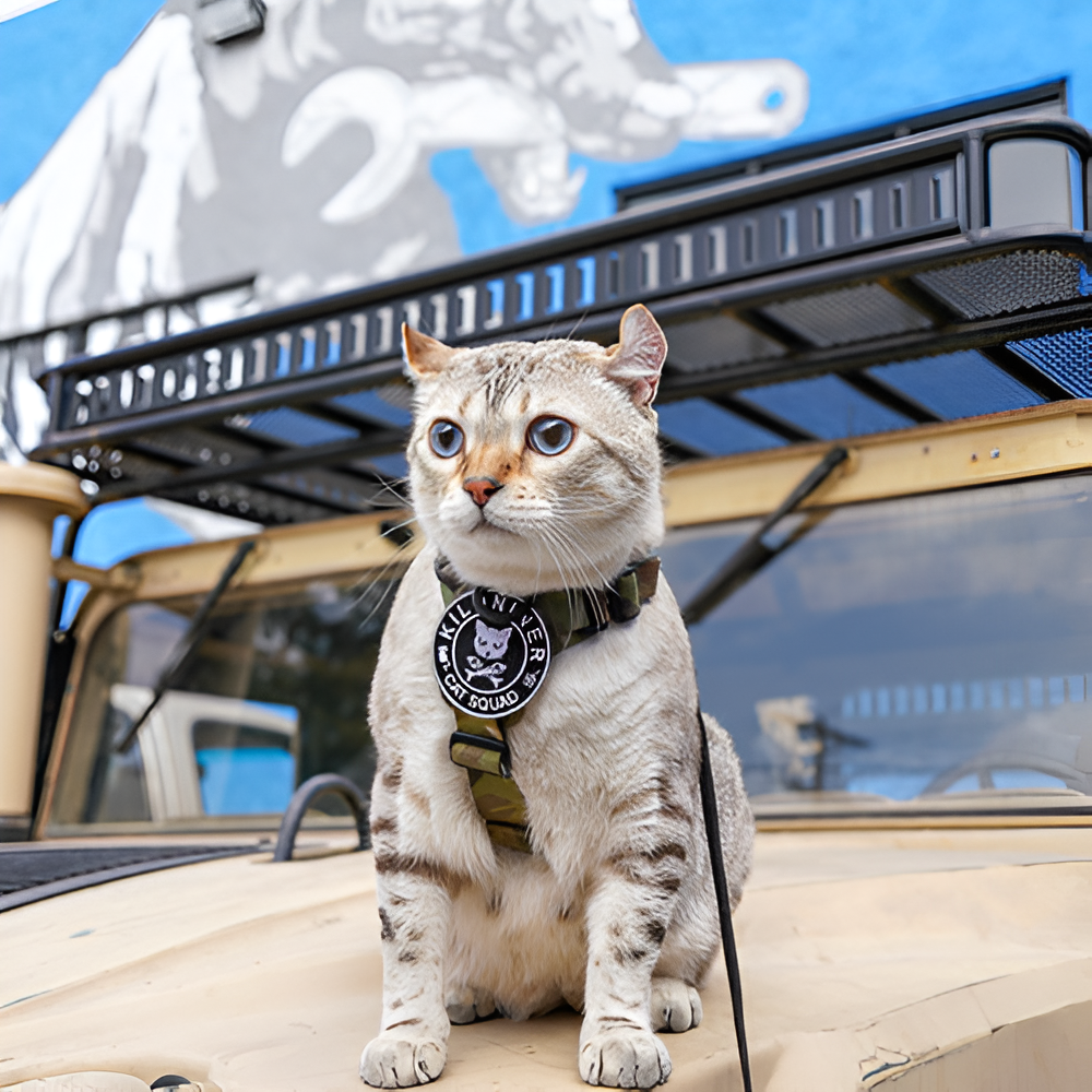 CAT SQUAD Morale Patch