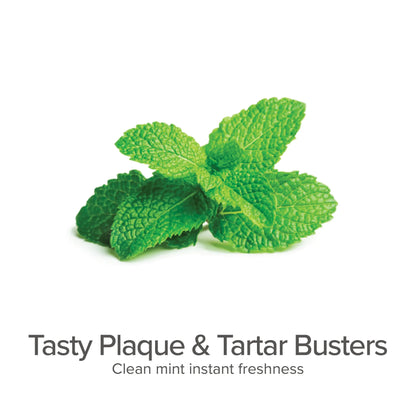 Plaque & Tartar Fighting Gel for Dogs in Clean Mint by PURE AND NATURAL PET, 12.99, ideal for organic dental care.