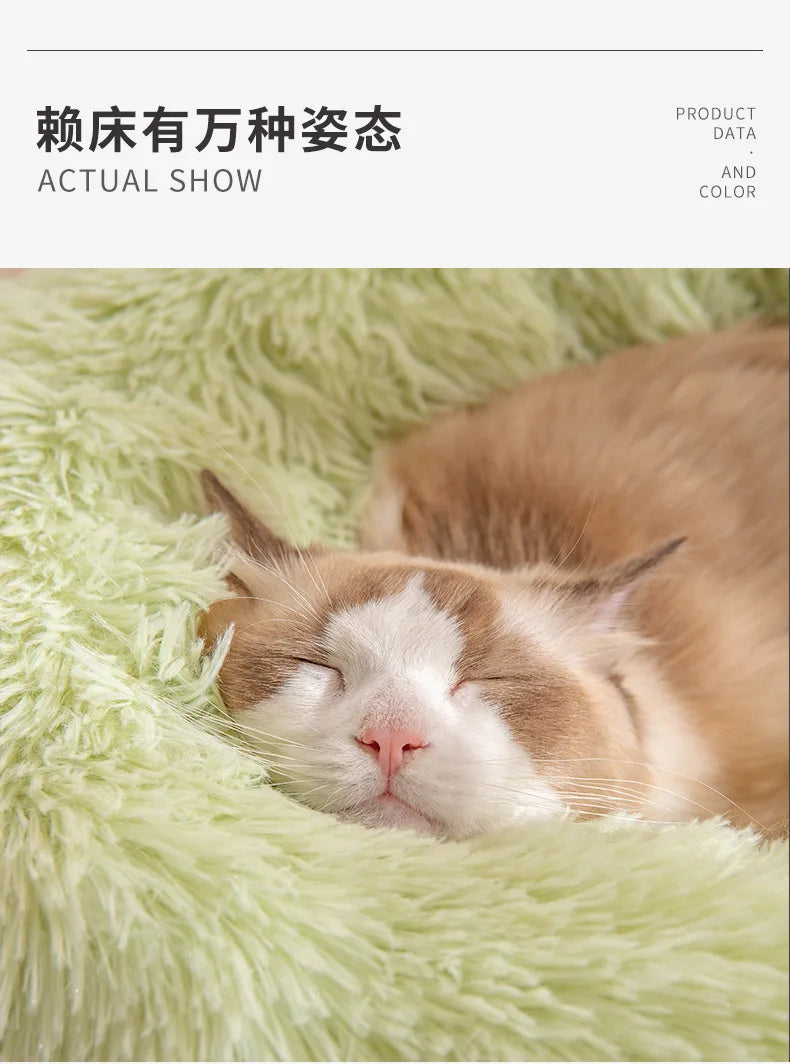 Plush cat bed for cold weather in soft green material for maximum comfort