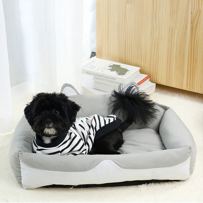 Cozy plush dog and cat bed for comfort with a cute dog wearing a striped outfit