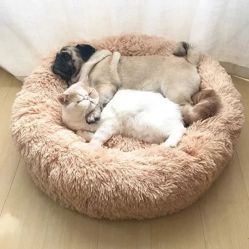 Tail Chasers round plush dog bed for anxiety with two pets comfortably resting together