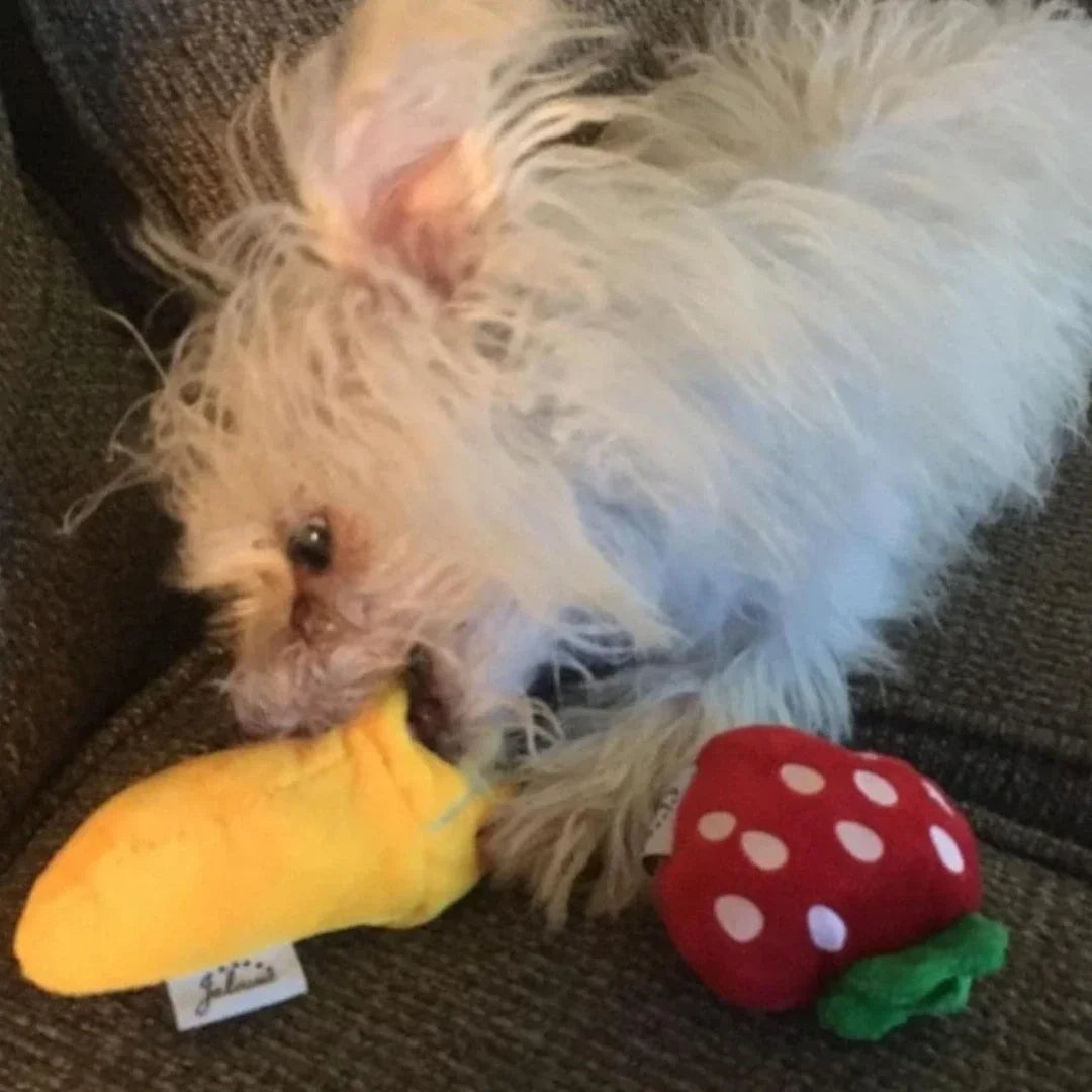 Small dog playing with plush puppy toy set including yellow banana and red strawberry toys