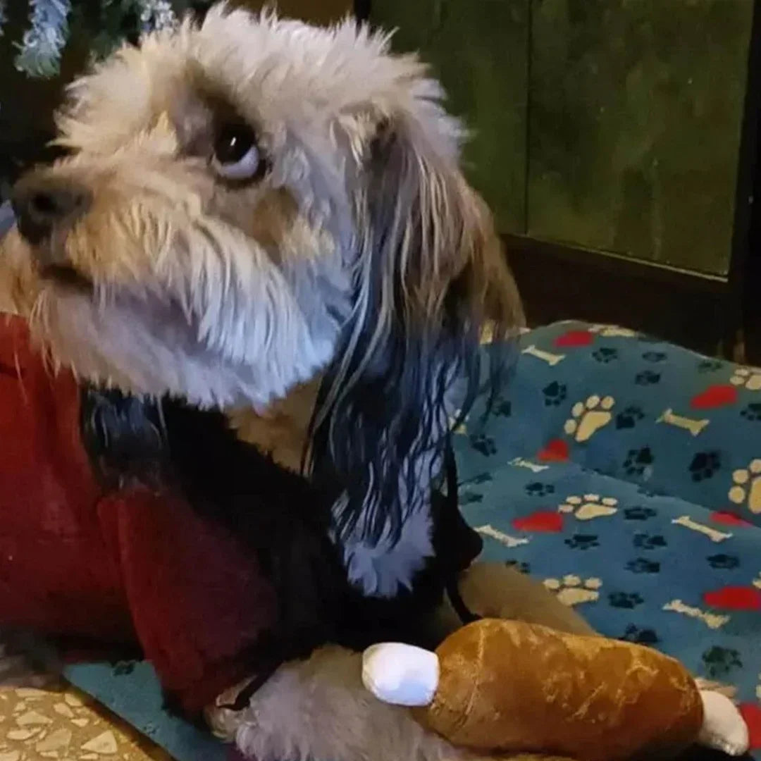 Small dog playing with a plush puppy toy set on a colorful pet-friendly blanket