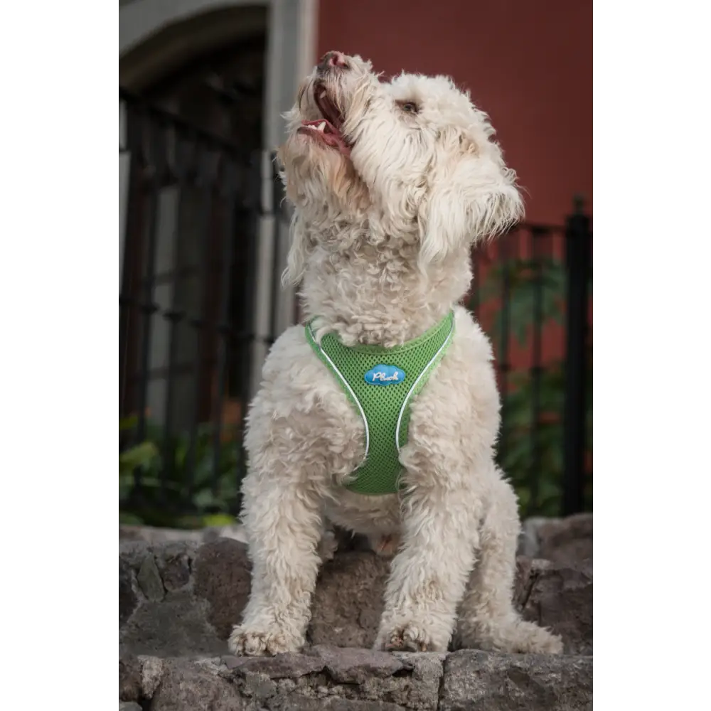 Plush Step In Air Mesh Harness - Grass Green
