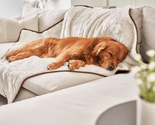 Pupprotector Summer Short Fur Waterproof Throw Blanket Pet - main product image