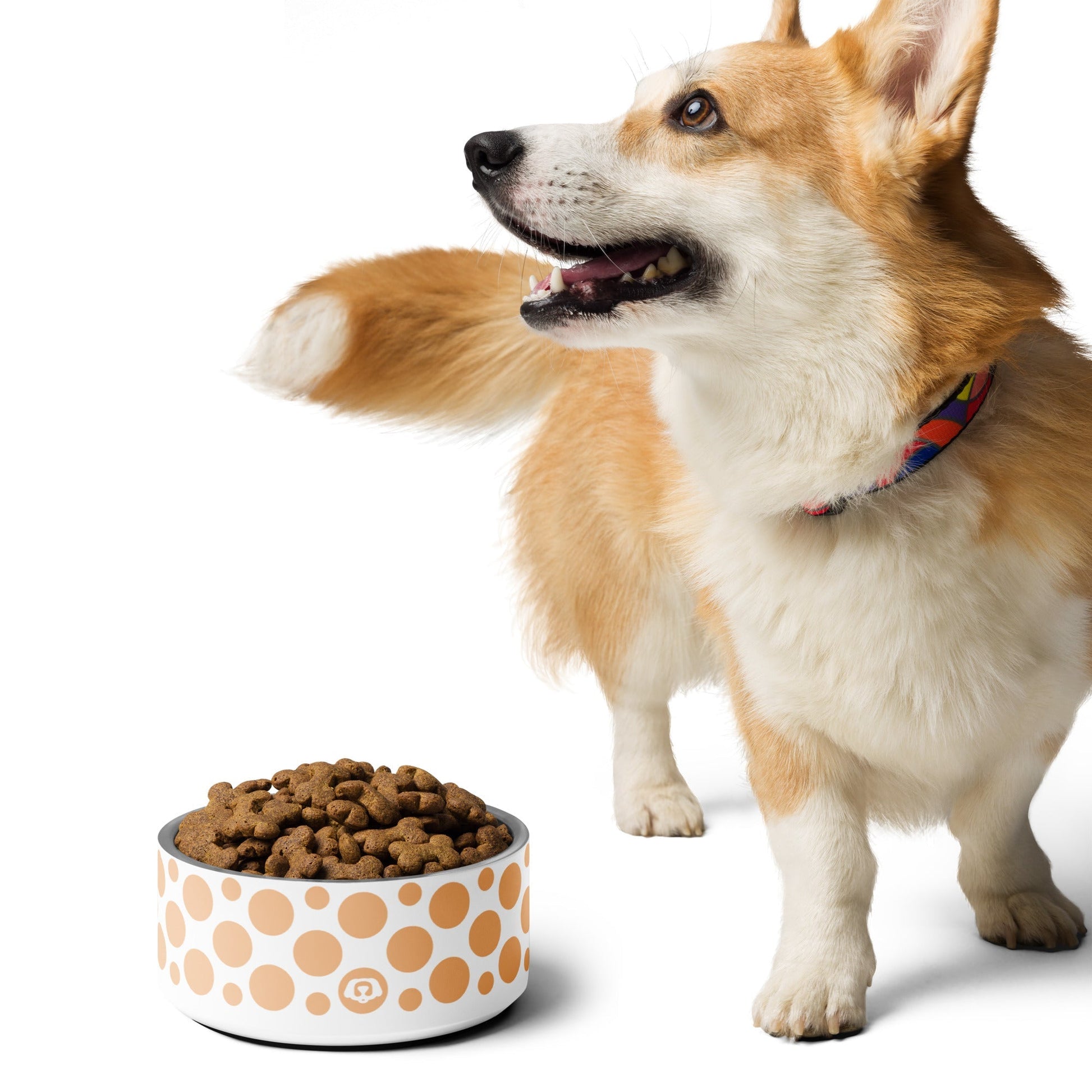 Polka Dotty Peach Sherbet 32oz Dog Bowl - Dog Bowls & Feeders - Wuforia