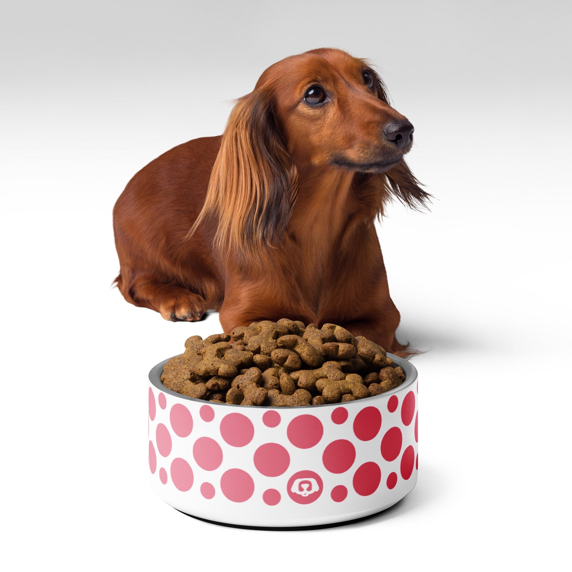 Polka Dotty Watermelon 32oz Dog Bowl - Dog Bowls & Feeders - Wuforia