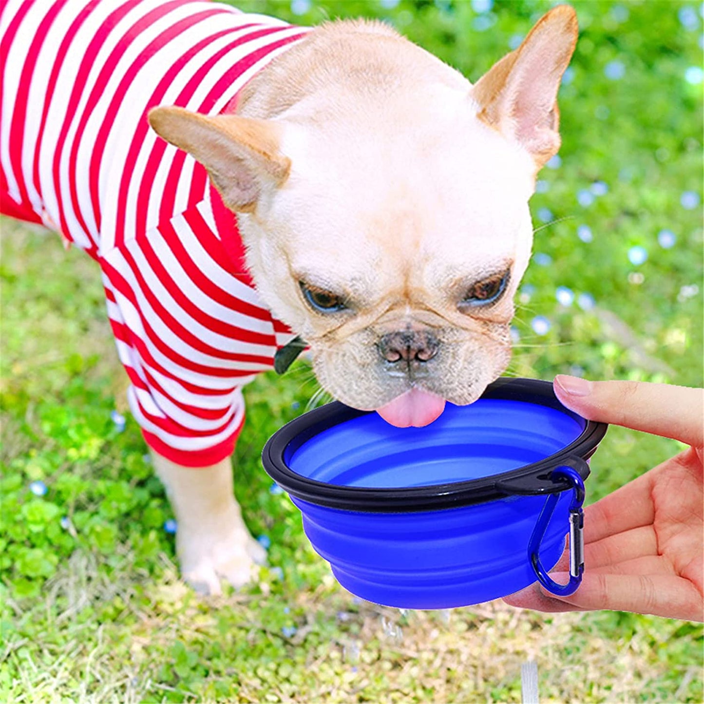 Vibhsa portable dog travel bowls in blue for convenient hydration on the go