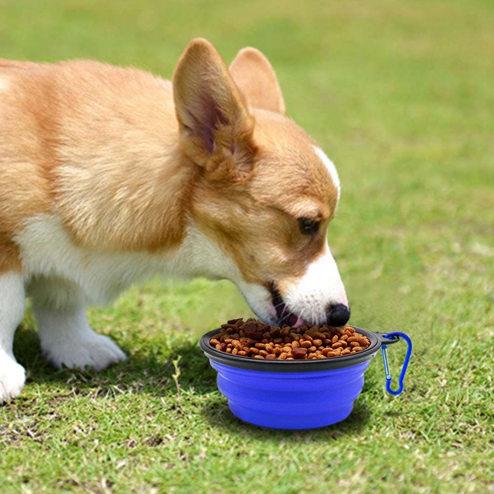 Portable dog travel bowls in blue, perfect for feeding dogs on the go, with easy carry design