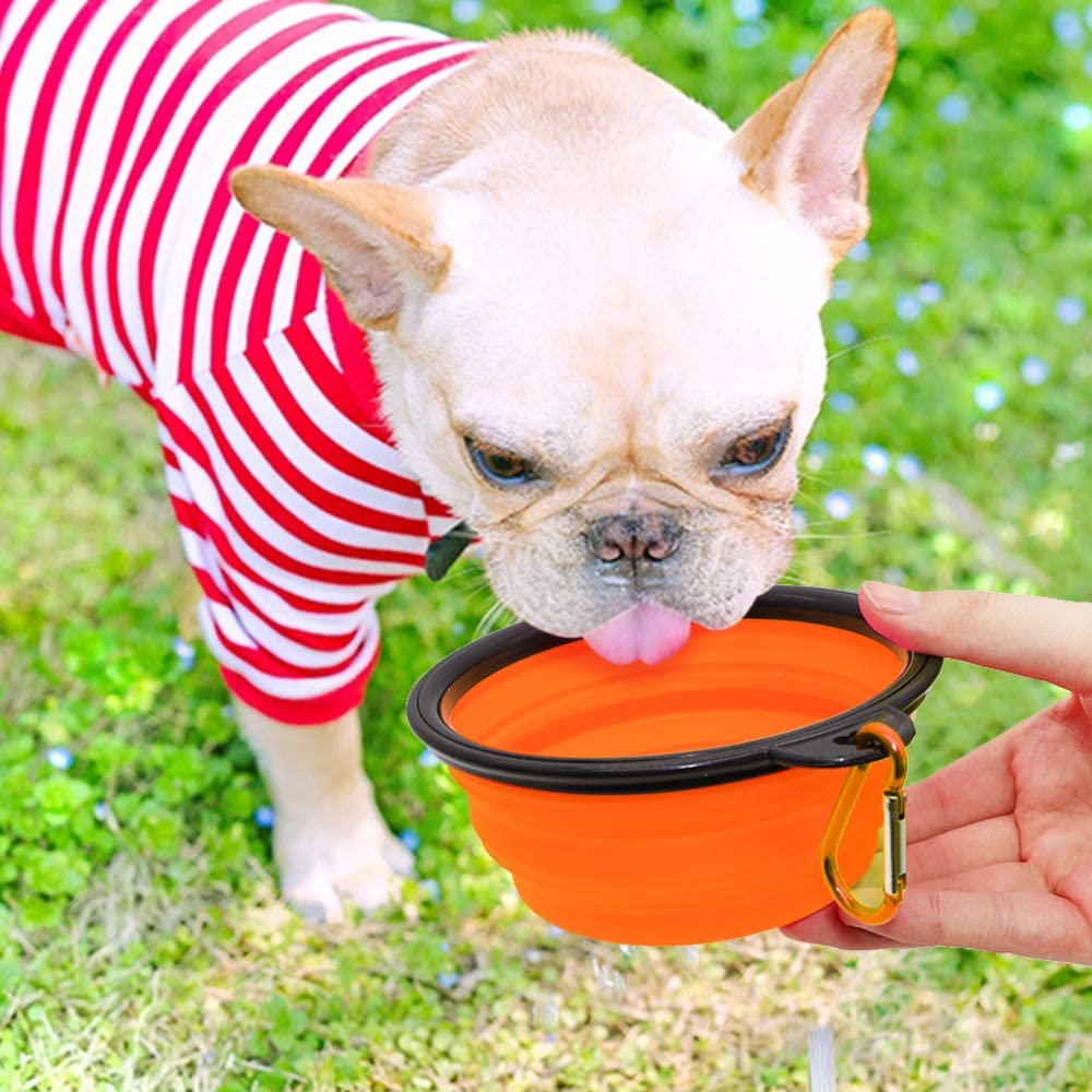 Vibhsa portable small dog bowl in bright orange, perfect for on-the-go pet hydration