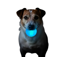 Strobe Ball Light-Up Dog Toy - Durable Floating Chew Ball | Made in USA