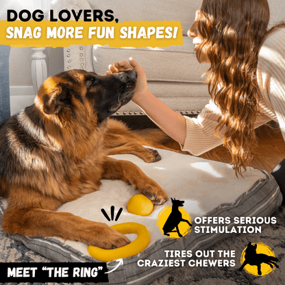 Monster K9 Power Ball Dog Toy 🏀