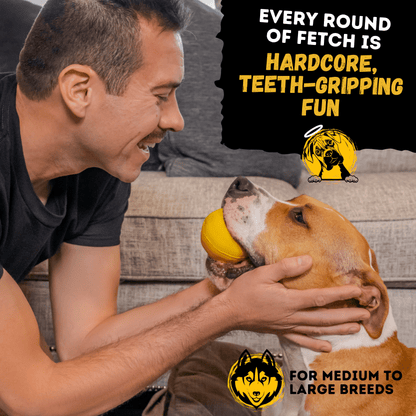 Monster K9 Power Ball Dog Toy 🏀