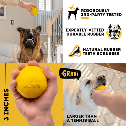 Monster K9 Power Ball Dog Toy 🏀
