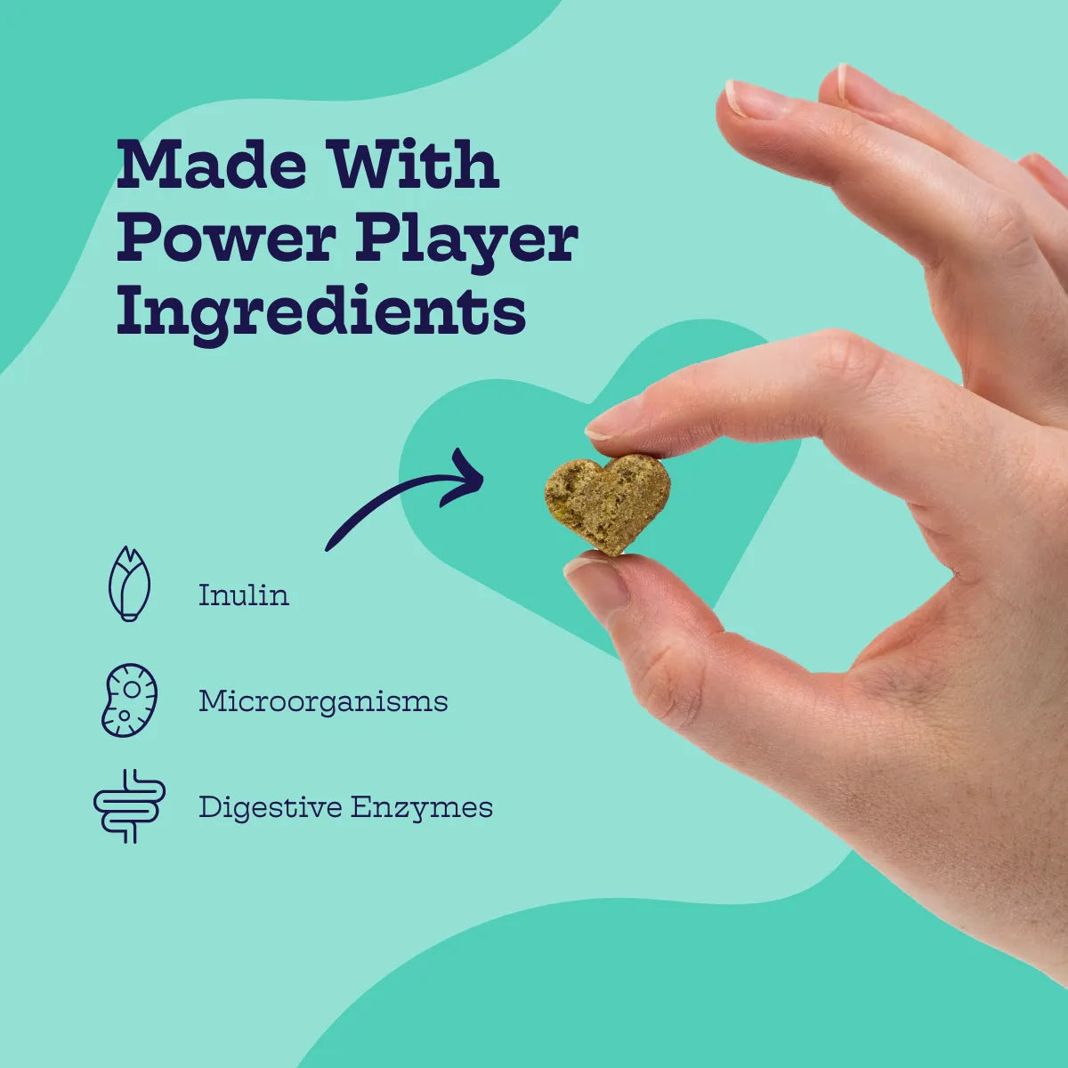 Pre + Pro Biotic Chews by Moe's Healthy Pets, 25.00, featuring a vibrant packaging design perfect for pet health.