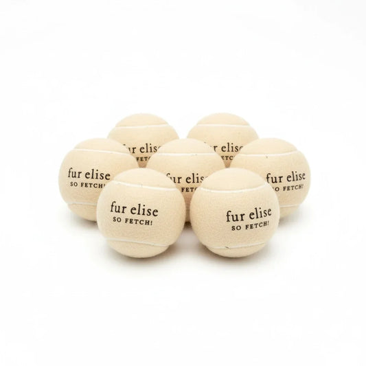 So Fetch! Tennis Ball Pack of 7 - Latte