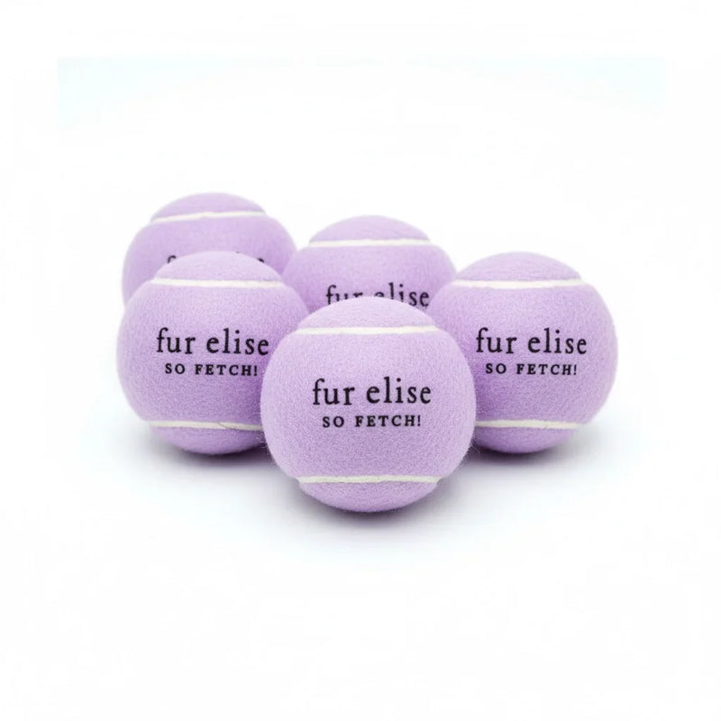So Fetch! Tennis Ball Pack of 5 - Lilac