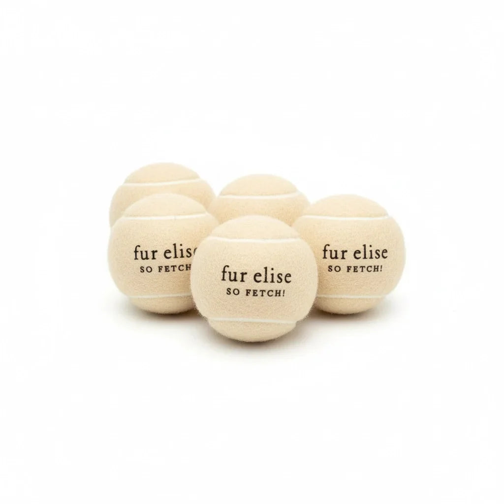 So Fetch! Tennis Ball Pack of 5 - Latte