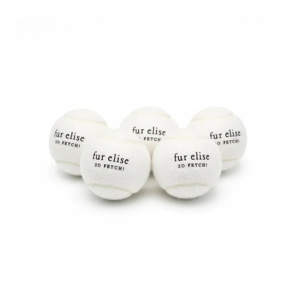 So Fetch! Tennis Ball Pack of 5 - Ivory