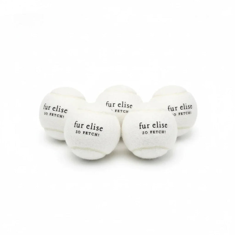 So Fetch! Tennis Ball Pack of 5 - Ivory
