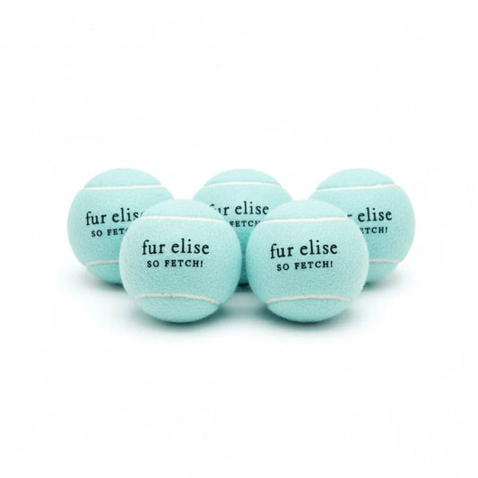 So Fetch! Tennis Ball Pack of 5 - Cloud