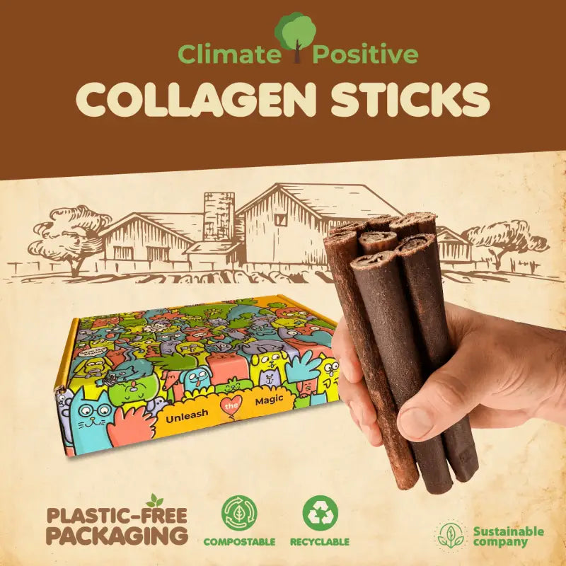 Collagen Sticks Dog Chews 6 Inch 12 Pack USA 🦴