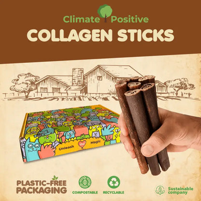 Collagen Sticks Dog Chews 6 Inch 12 Pack USA 🦴