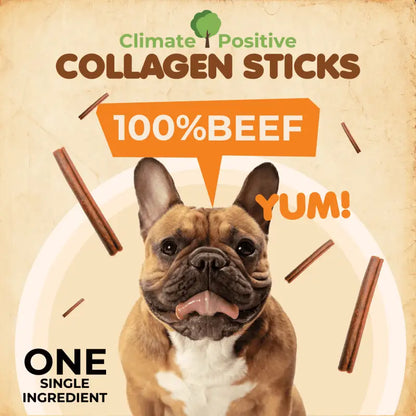 Collagen Sticks Dog Chews 6 Inch 12 Pack USA 🦴