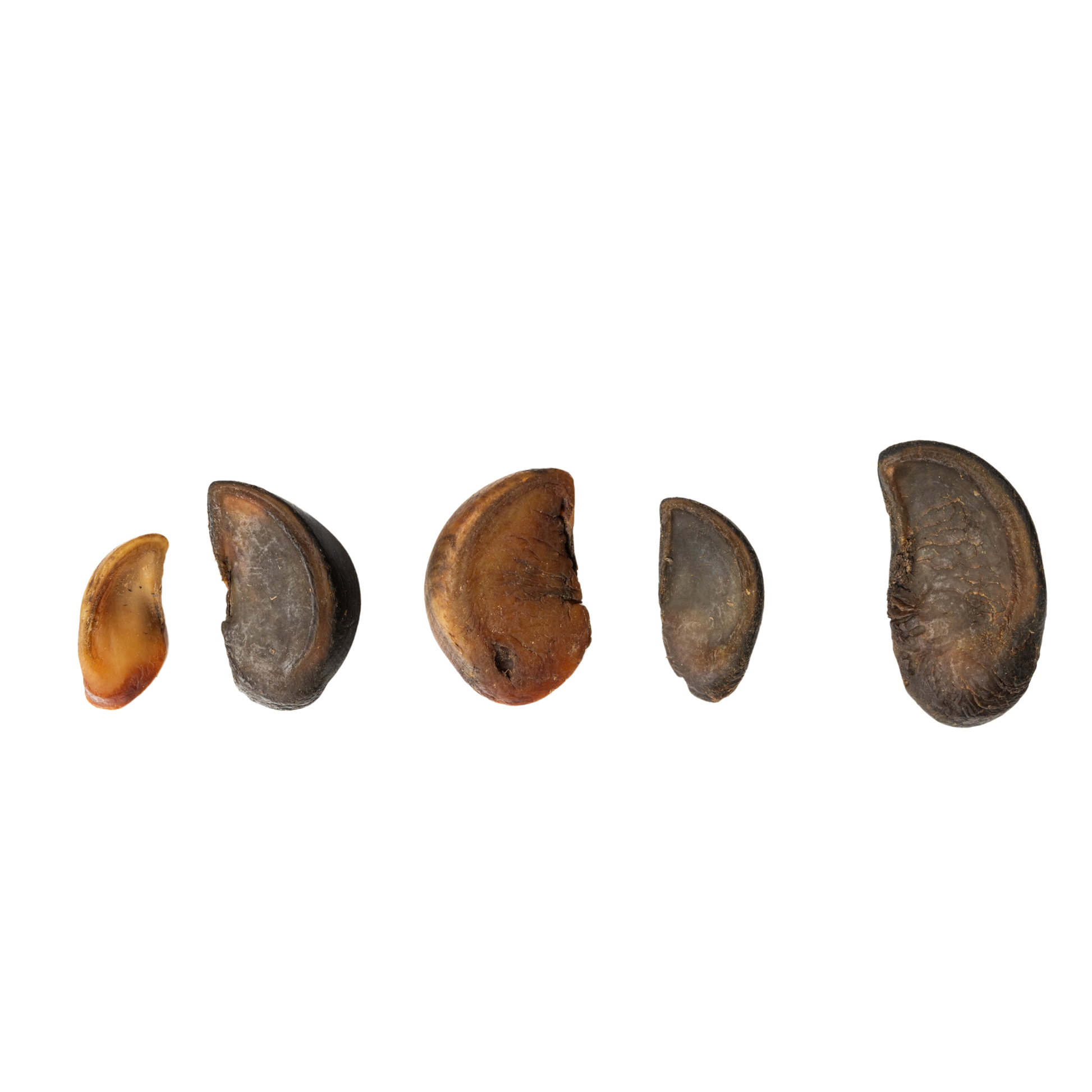 Natural assorted premium dental treats for dogs in various sizes for effective teeth cleaning