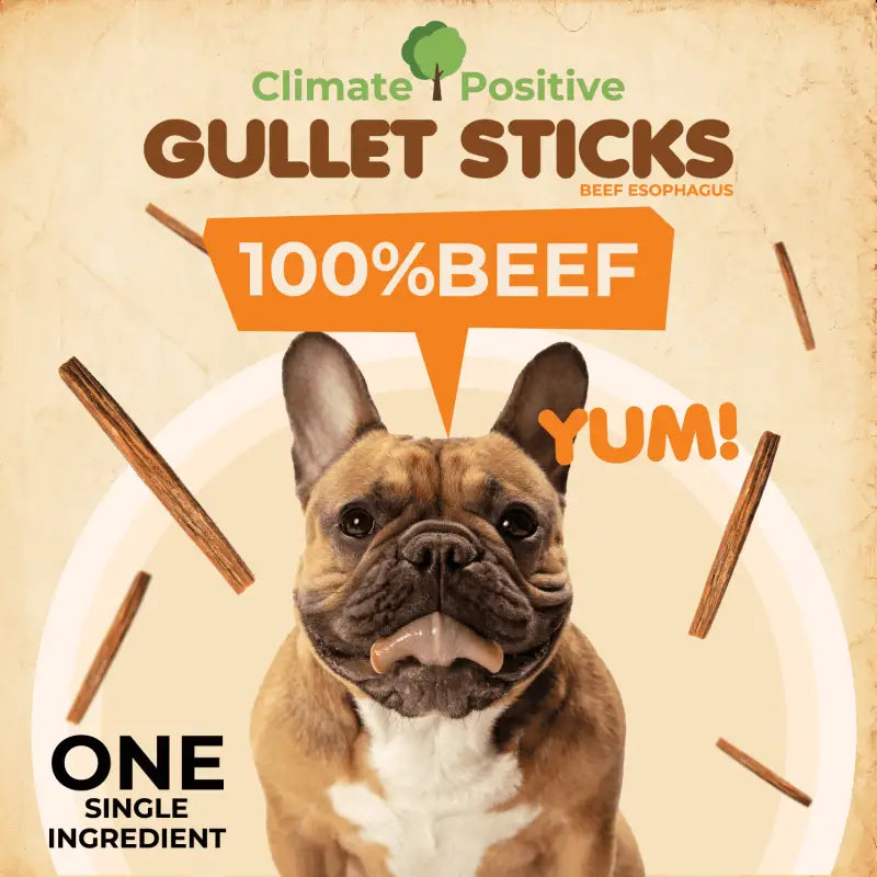 Gullet Sticks Dog Chews 6 Inch 24 Pack USA ✅