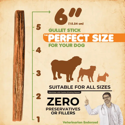 Gullet Sticks Dog Chews 6 Inch 24 Pack USA ✅
