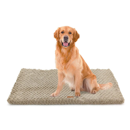 Premium Orthopedic Plush Dog Bed by Purrfect Pet Kingdom in gray, featuring a removable washable cover, perfect for dogs.