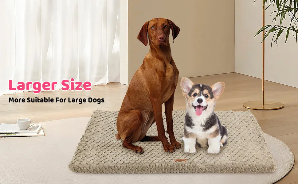 Premium Orthopedic Plush Dog Bed by Purrfect Pet Kingdom in gray, featuring a removable washable cover, perfect for dogs.