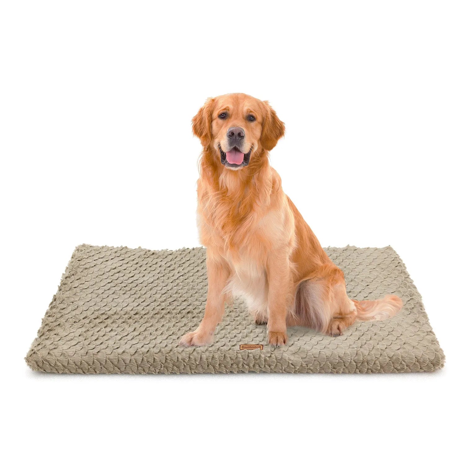 Premium Orthopedic Plush Dog Bed by Purrfect Pet Kingdom in gray, featuring a removable washable cover, perfect for dogs.