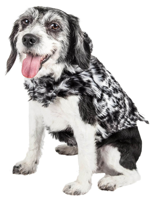Dog wearing Purrfect Pet Kingdom black and white coat showcasing premium pet apparel for dogs