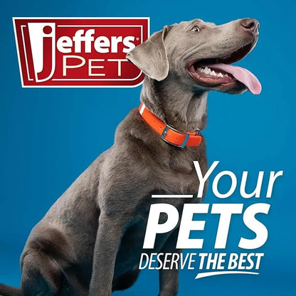 Premium USA Chicken Jerky Dog Treats by Purrfect Pet Kingdom, 24oz grain-free snacks, featuring a savory chicken flavor.