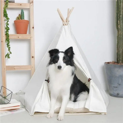 Premium wooden pet hideaway in teepee style with black and white dog sitting inside by Purrfect Pet Kingdom