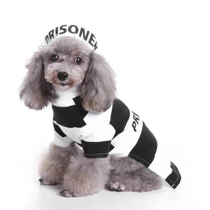 Purrfect Pet Kingdom Striped Dog Halloween Outfit Large BLACK WHITE Purrfect Pet Kingdom