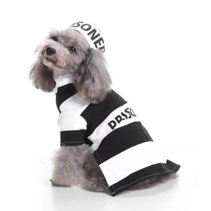 Purrfect Pet Kingdom Striped Dog Halloween Outfit Purrfect Pet Kingdom