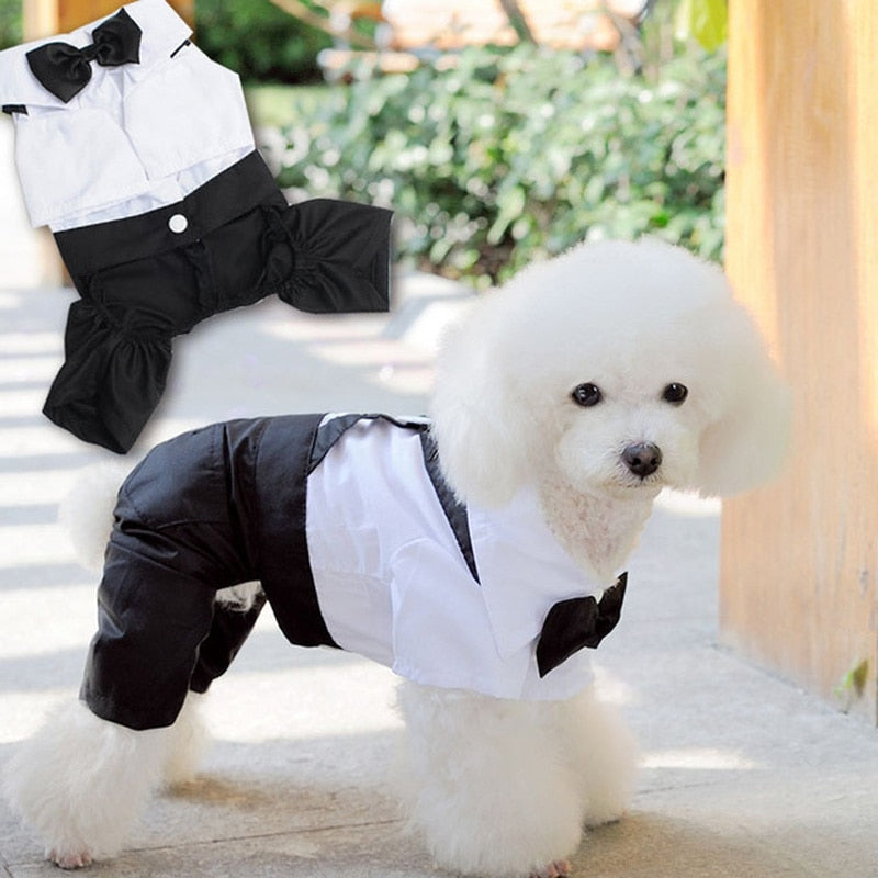 Handsome Stylish Pet Suit with Bow Tie - Purrfect Pet Kingdom