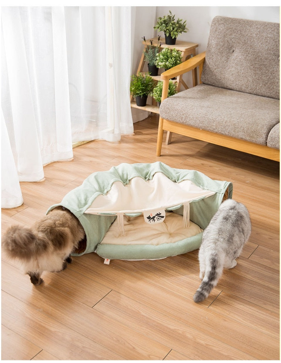 Collapsible Removable Cat Tunnel Tube With Cat Bed Set - Purrfect Pet Kingdom