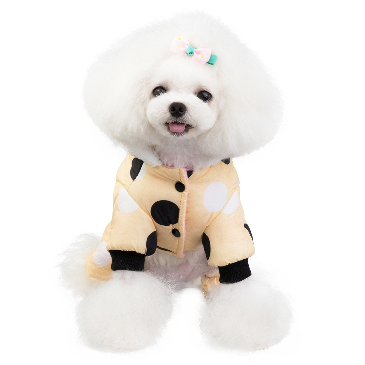 Big Polka Dot Snowsuit Jumpsuit - Purrfect Pet Kingdom