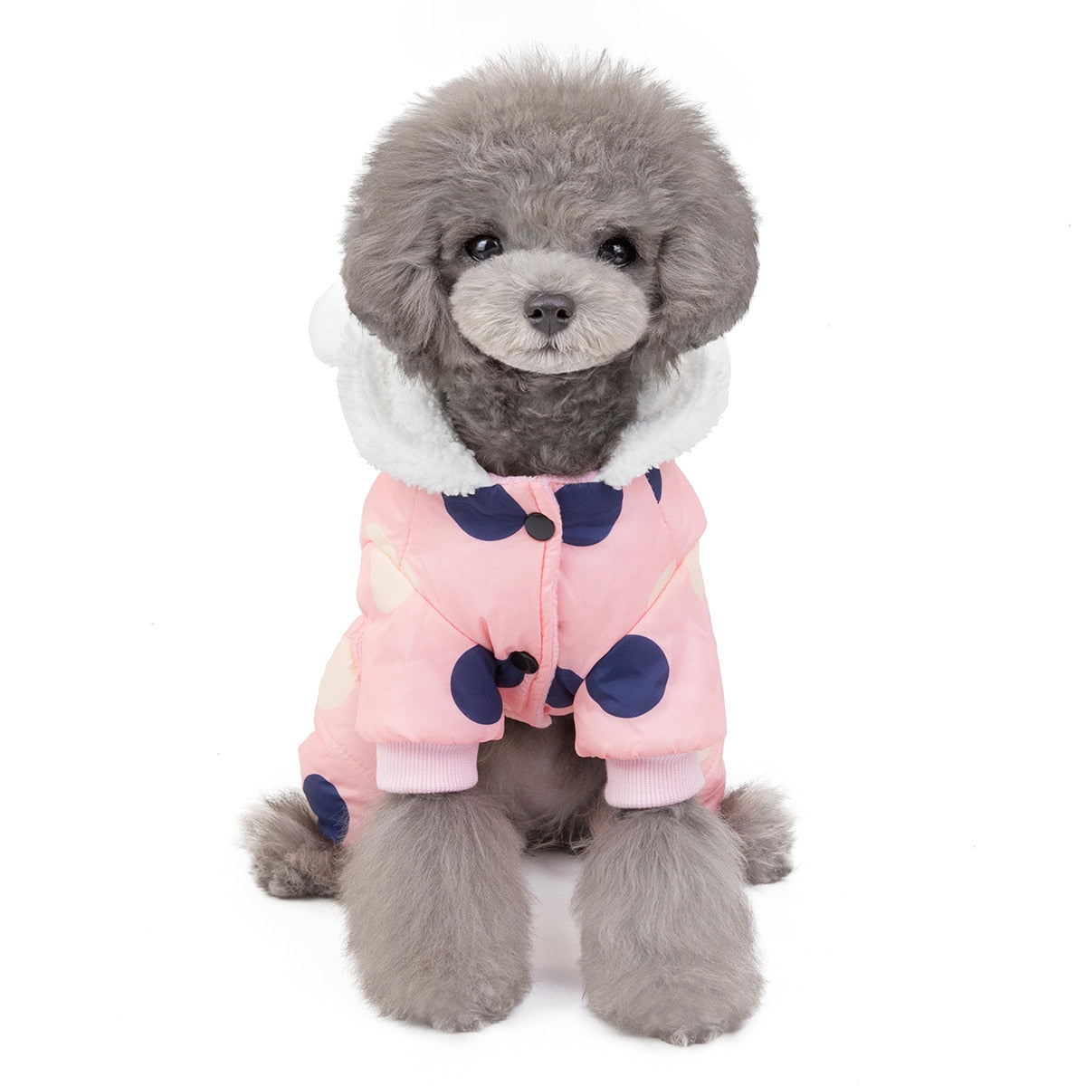 Big Polka Dot Snowsuit Jumpsuit - Purrfect Pet Kingdom
