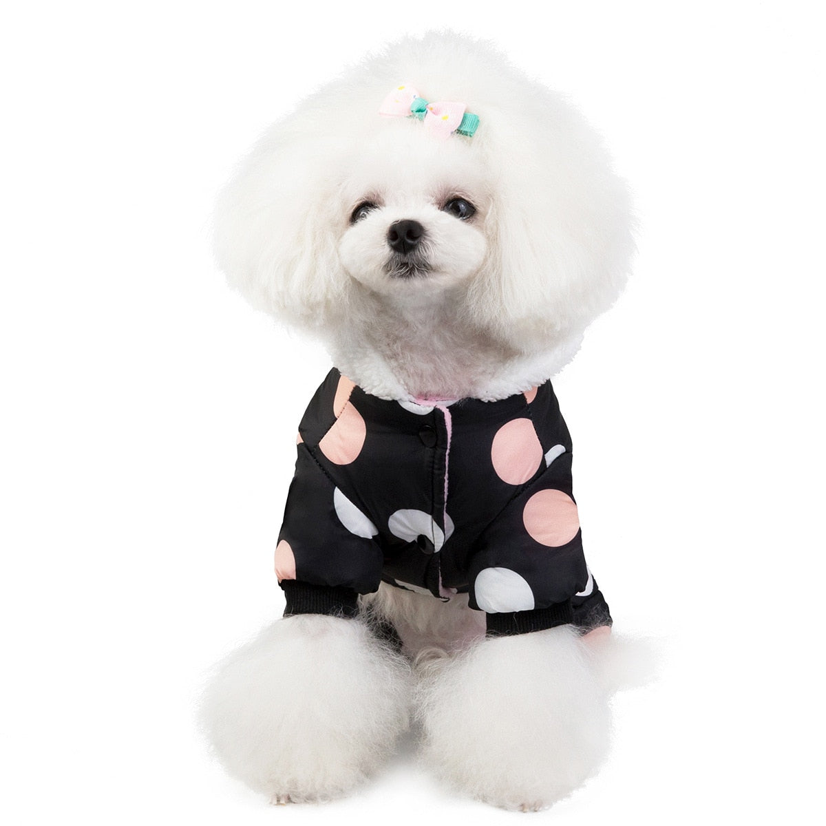 Big Polka Dot Snowsuit Jumpsuit - Purrfect Pet Kingdom